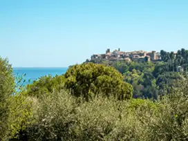 Coastal Area Marche